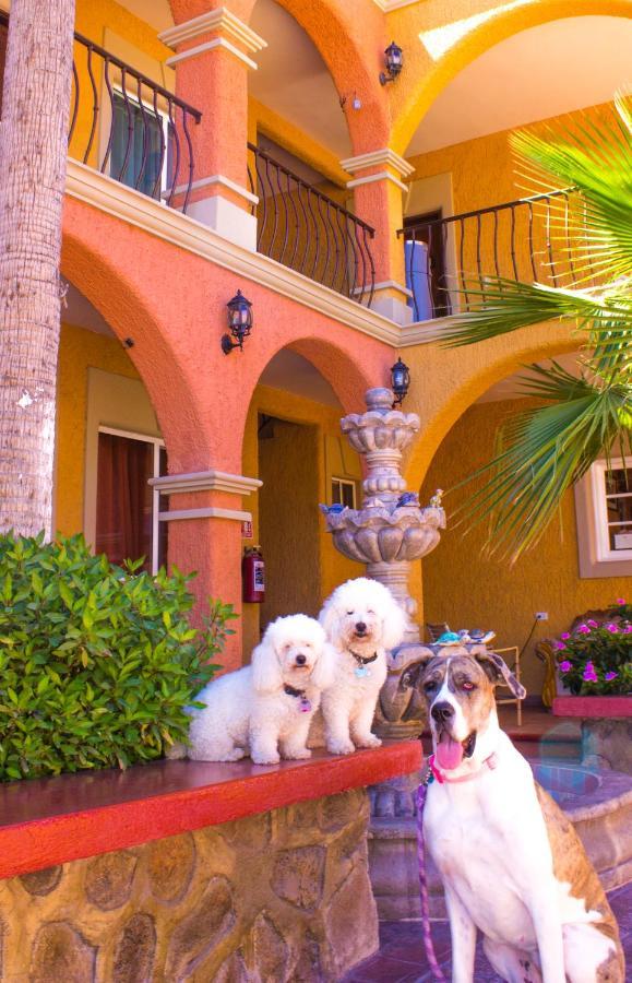Hotel Angra Loreto  Exterior foto